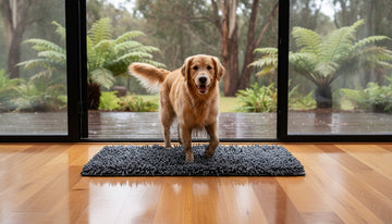 The Ultimate Guide to the Absorbent Chenille Pet Mat: Keeping Australian Homes Mud-Free