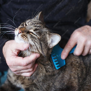 Dog & Cat Grooming Products