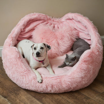 Beds & Comfort