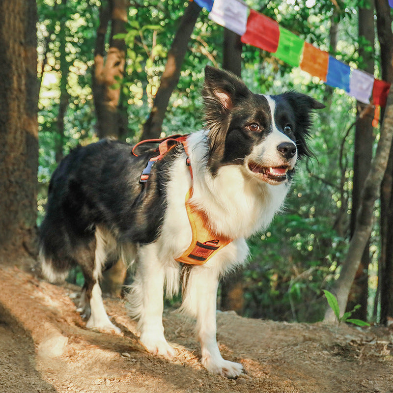 Retractable Dog Leash Harness Set