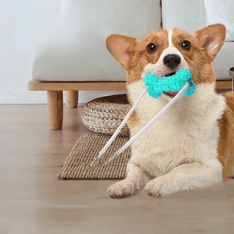 Durable Dog Chew Stick for Teeth Grinding
