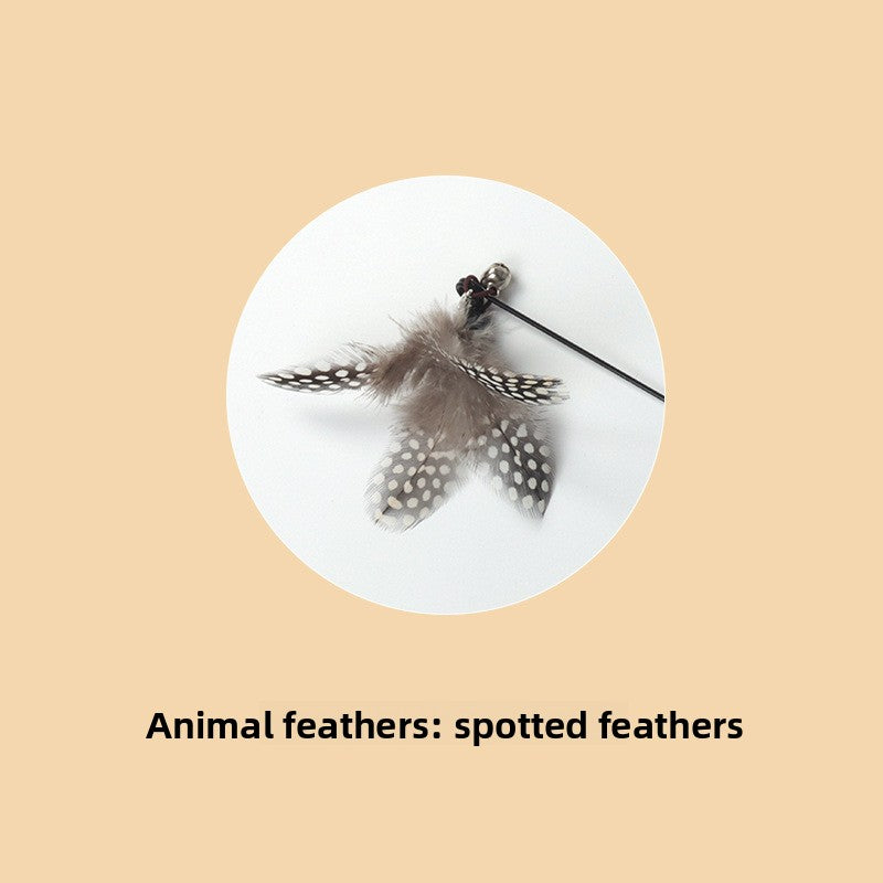 Interactive Feather Teaser Wand for Cats