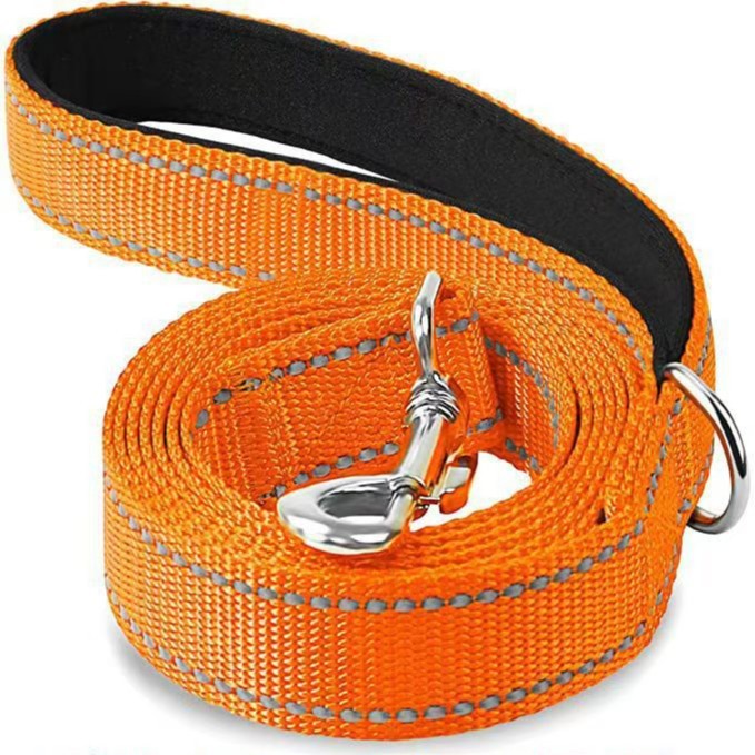 Reflective Dog Training Leash — Heavy Duty for Medium & Large Breeds