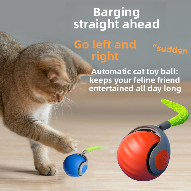 Electric Smart Cat Ball Toy with Feather — Interactive Cat Toy Australia