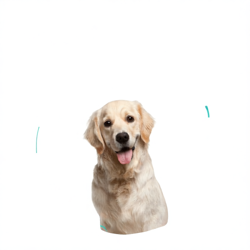 Durable Dog Chew Stick for Teeth Grinding