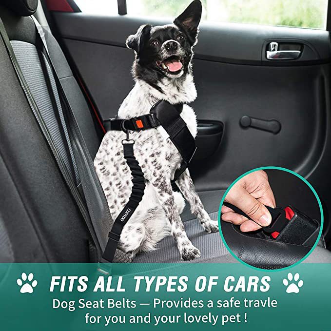 Reflective Explosion-Proof Dog Car Safety Leash