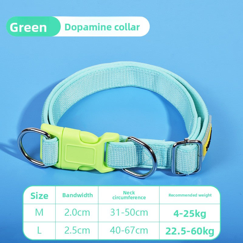 Adjustable Dog Collar with Leash