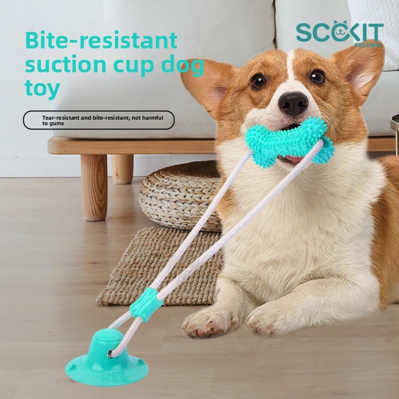 Durable Dog Chew Stick for Teeth Grinding