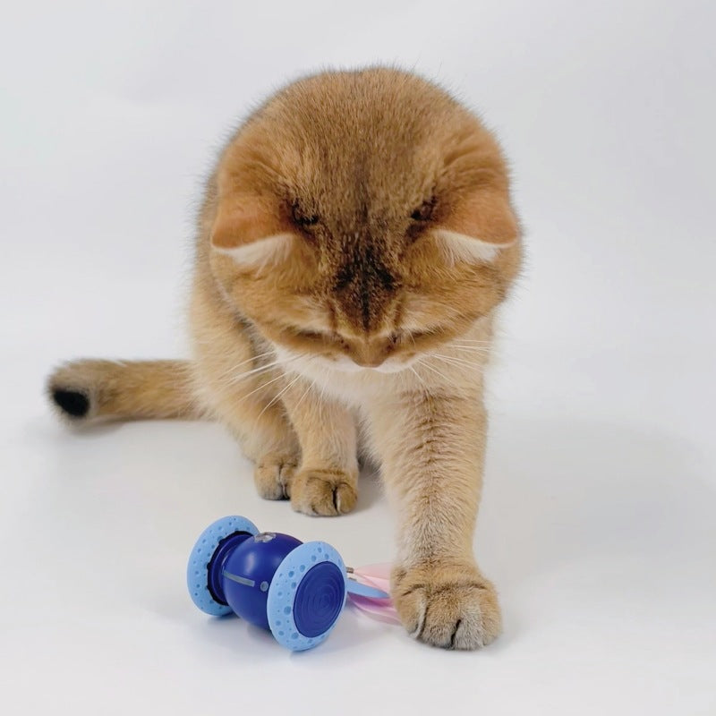 USB Rechargeable Interactive Cat Toy