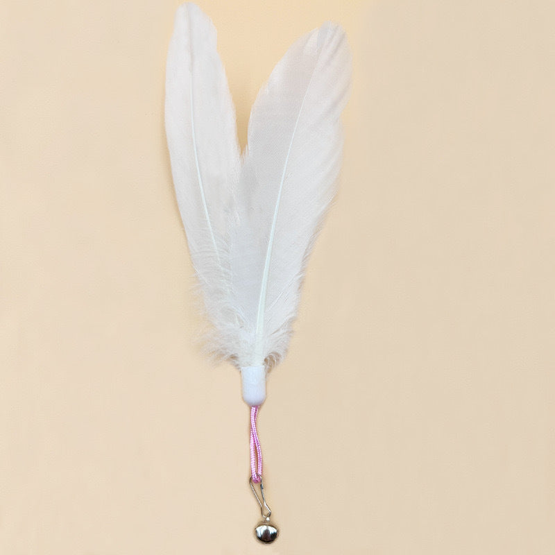 Cat Teaser Wand Toy