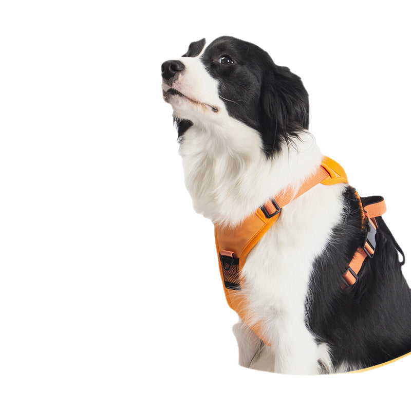 Retractable Dog Leash Harness Set