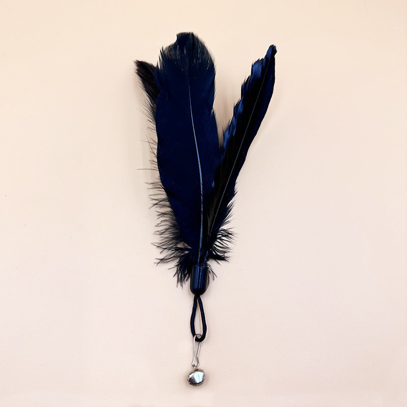 Cat Teaser Wand Toy