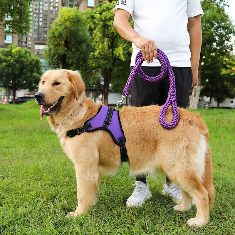 Adjustable Dog Harness with Leash for Medium Large Breeds