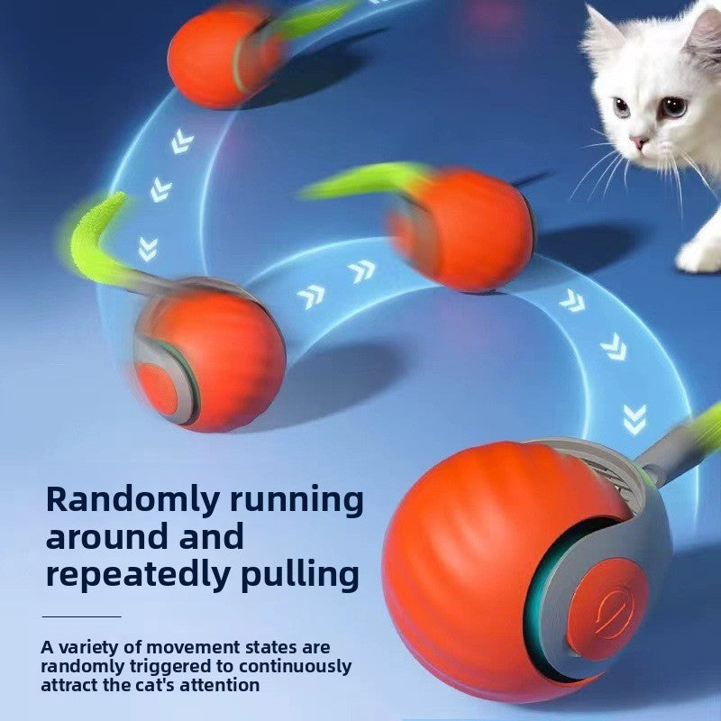 Electric Smart Cat Ball Toy with Feather — Interactive Cat Toy Australia