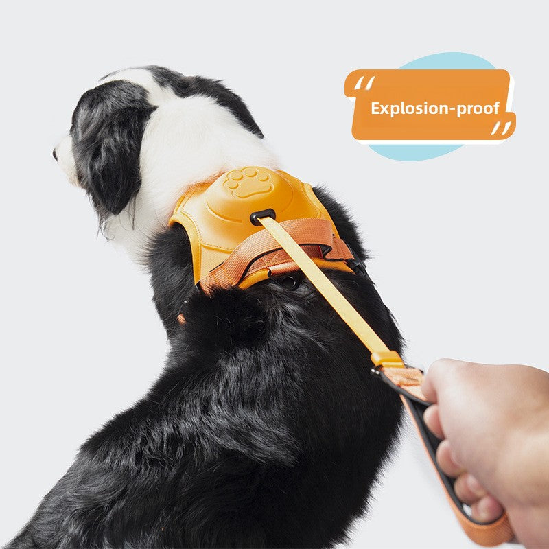 Retractable Dog Leash Harness Set