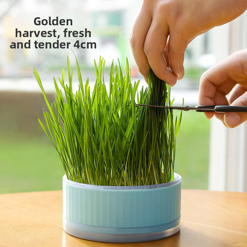 Cat Grass Pot Growing Kit