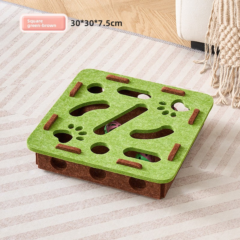 Cat Toy Maze
