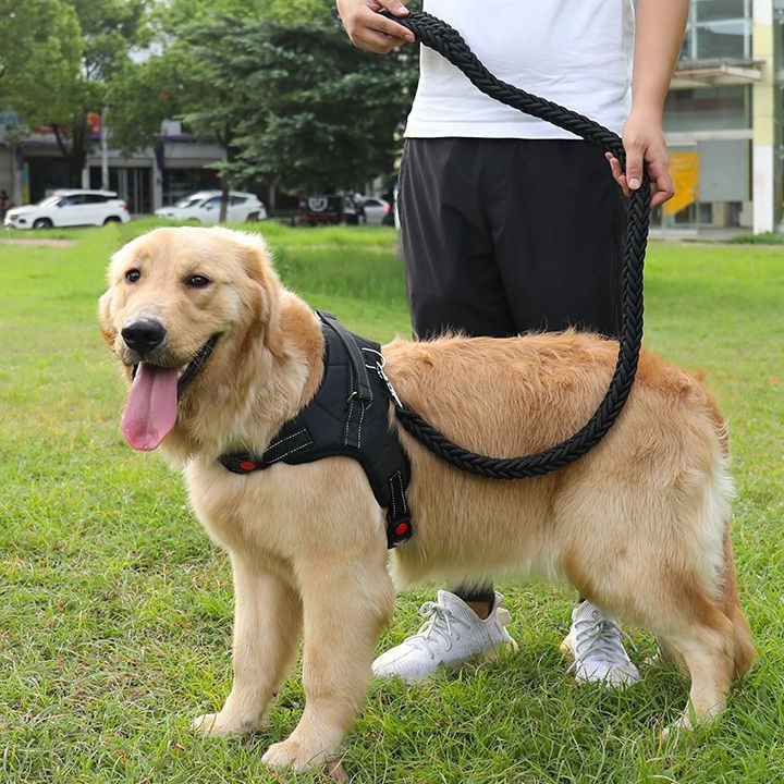 Adjustable Dog Harness with Leash for Medium Large Breeds