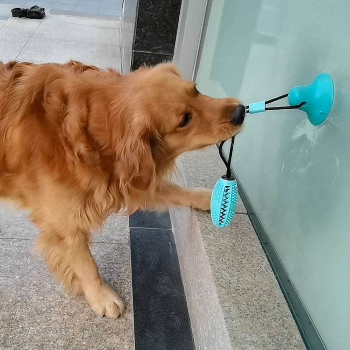 Suction Cup Dog Chew Toy with Treat Dispenser