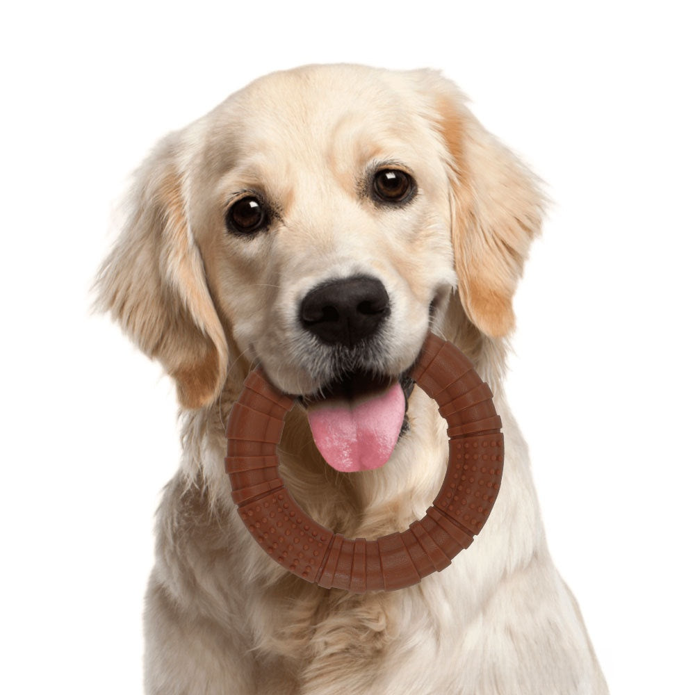 Benebone Nylon Bacon Flavor Dog Chew Bone Toy