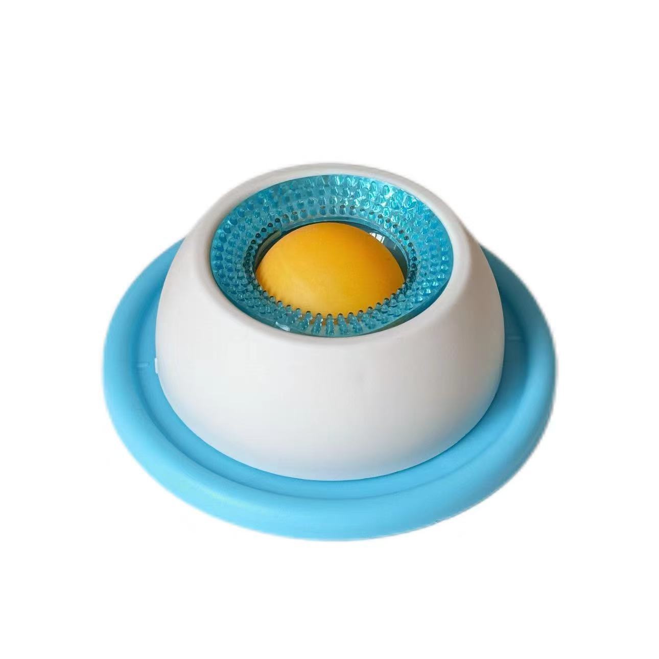 Slow Feeder Cat Bowl