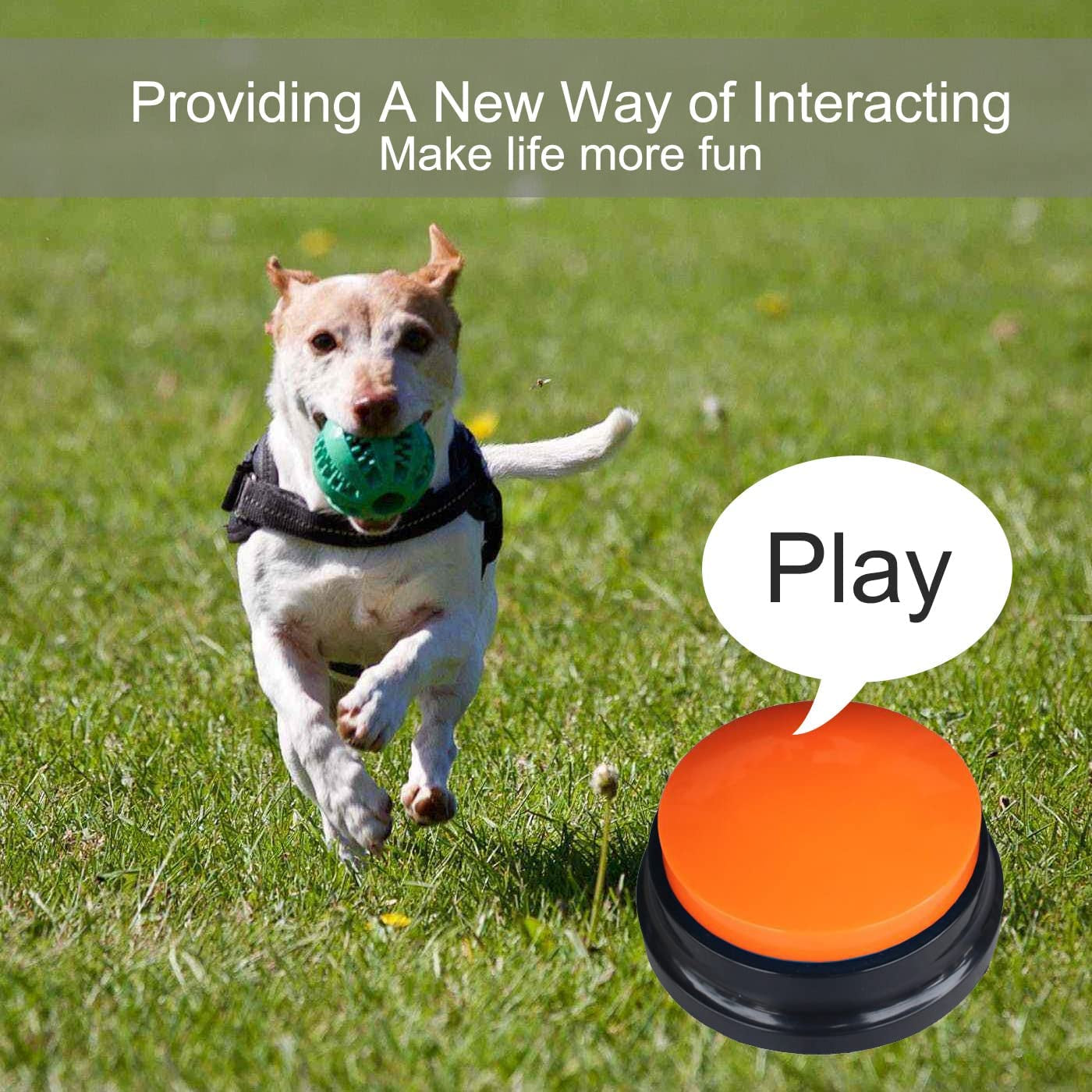 4 Color Voice Recording Button, Dog Buttons for Communication Pet Training Buzzer, 30 Second Record & Playback, Funny Study Office Home - 4 Color Packs