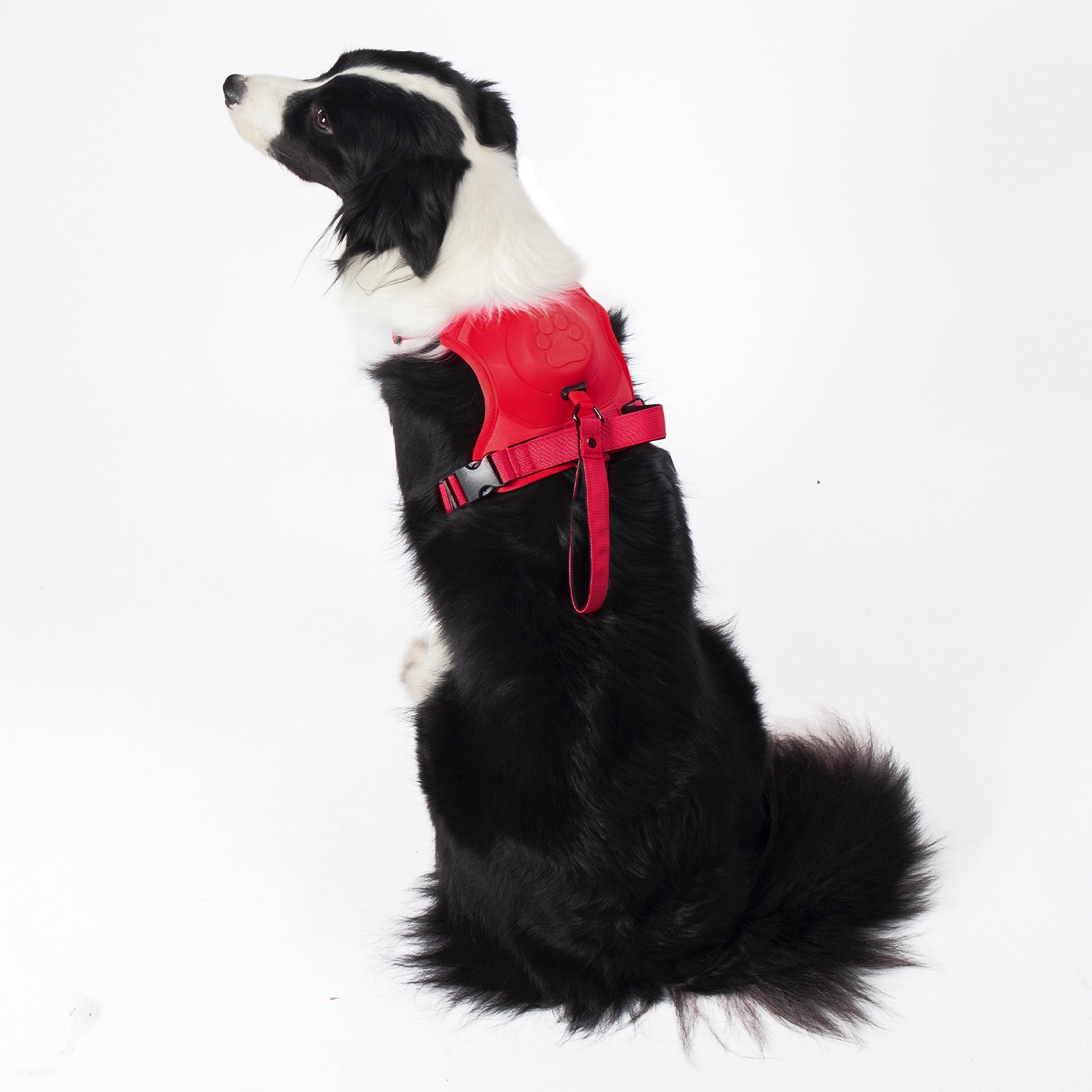 Retractable Dog Leash Harness Set