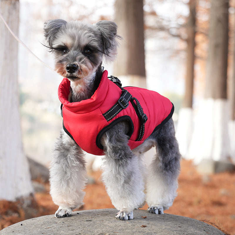 Padded Winter Dog Jacket