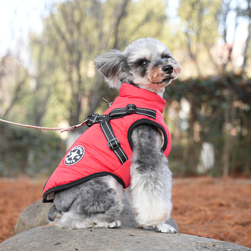Padded Winter Dog Jacket