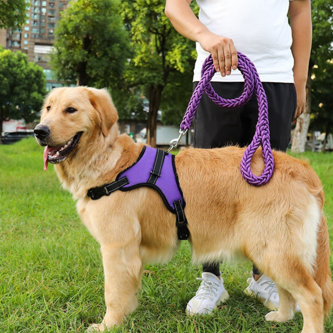 Adjustable Dog Harness with Leash for Medium Large Breeds
