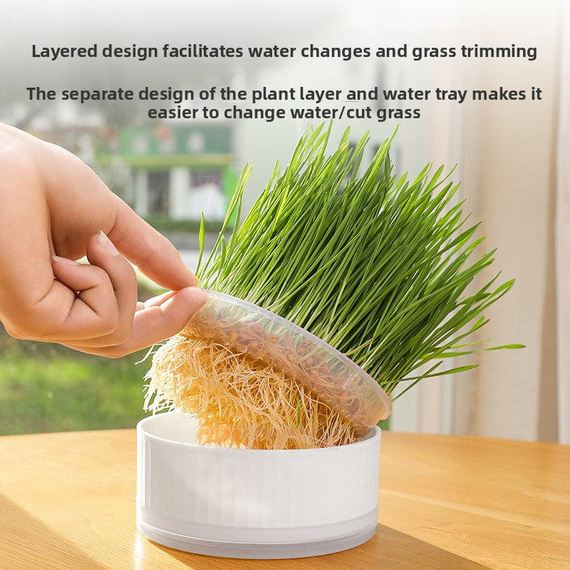 Cat Grass Pot Growing Kit
