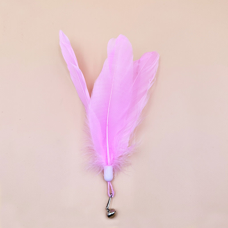 Cat Teaser Wand Toy