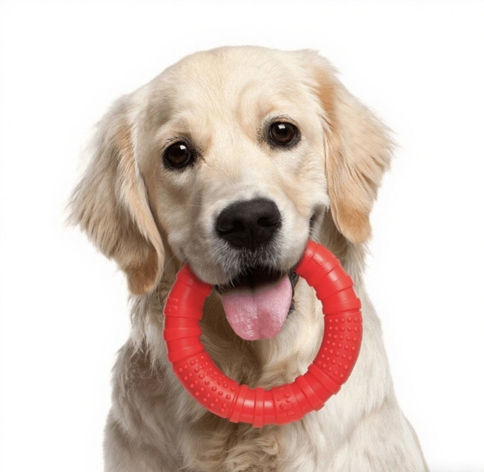 Benebone Nylon Bacon Flavor Dog Chew Bone Toy