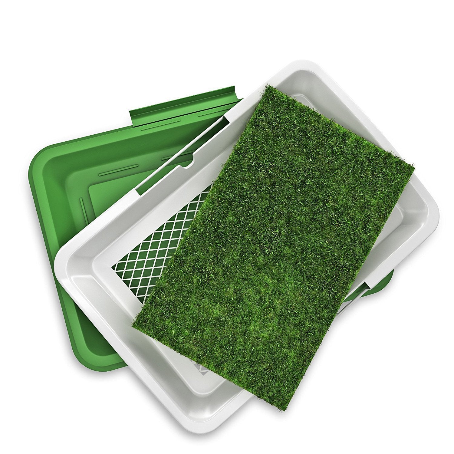 Non-Slip Dog Potty Training Mat