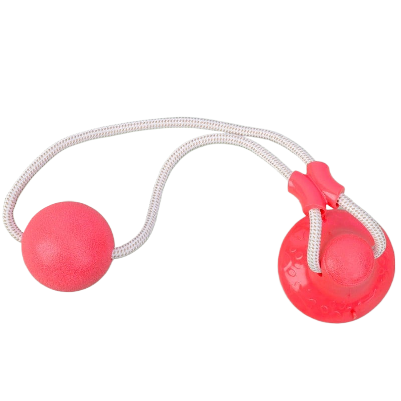Durable Dog Chew Stick for Teeth Grinding