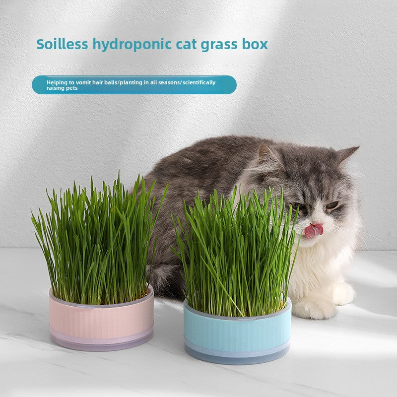 Cat Grass Pot Growing Kit