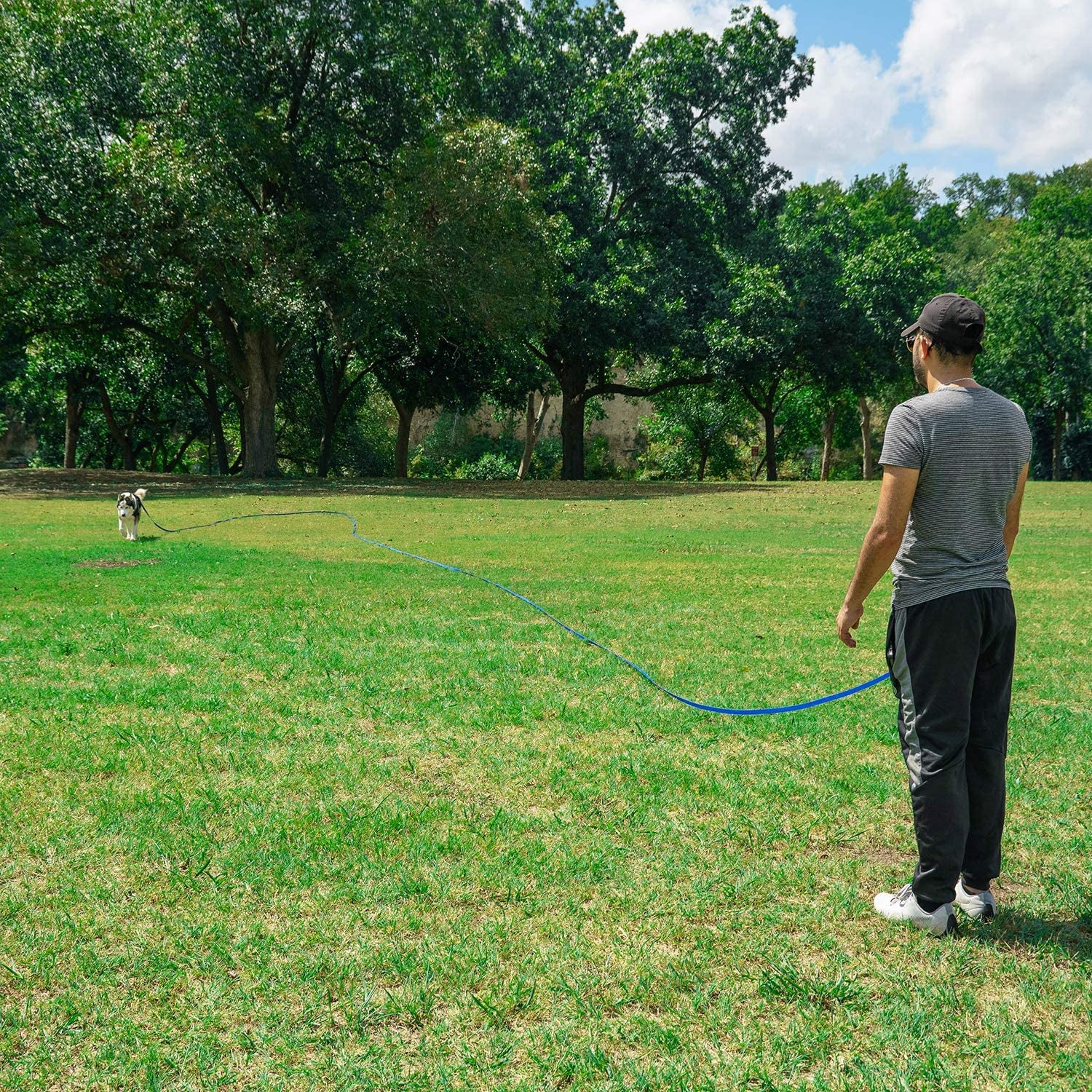 Dog/Puppy Obedience Recall Training Agility Lead - 15Ft 20Ft 30Ft 50Ft 100Ft Training Leash - Great for Training, Play, Camping, or Backyard (15 Feet, Purple)