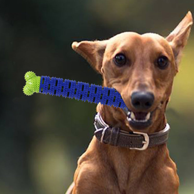 Dog Chewing Bone Toy with Squeaker