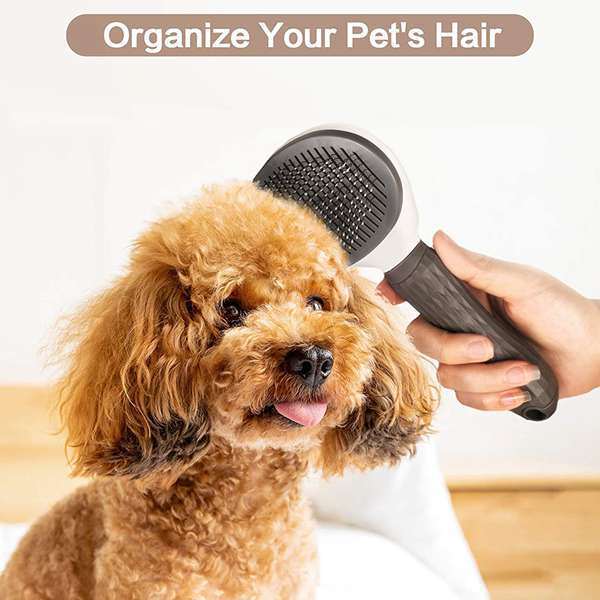 Self-Cleaning Pet Grooming Brush — Slicker Brush for Dogs & Cats Australia