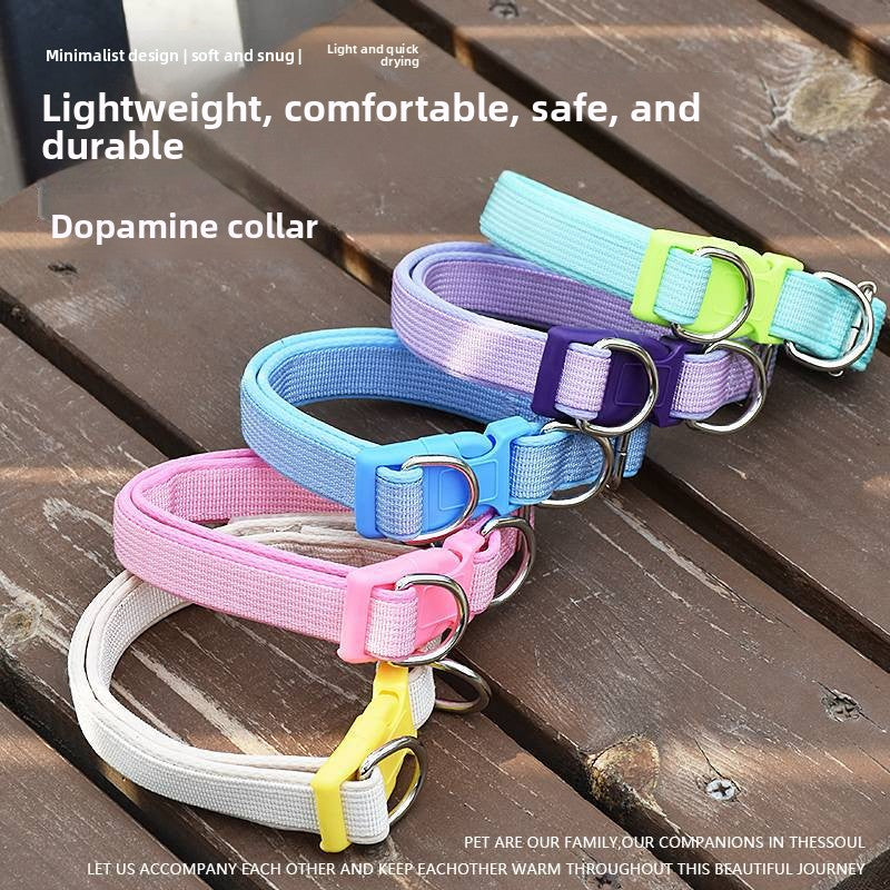 Adjustable Dog Collar with Leash