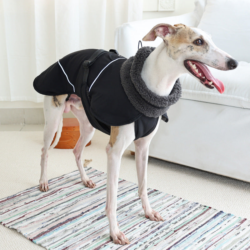 Dog Warm Cotton Coat — All Sizes